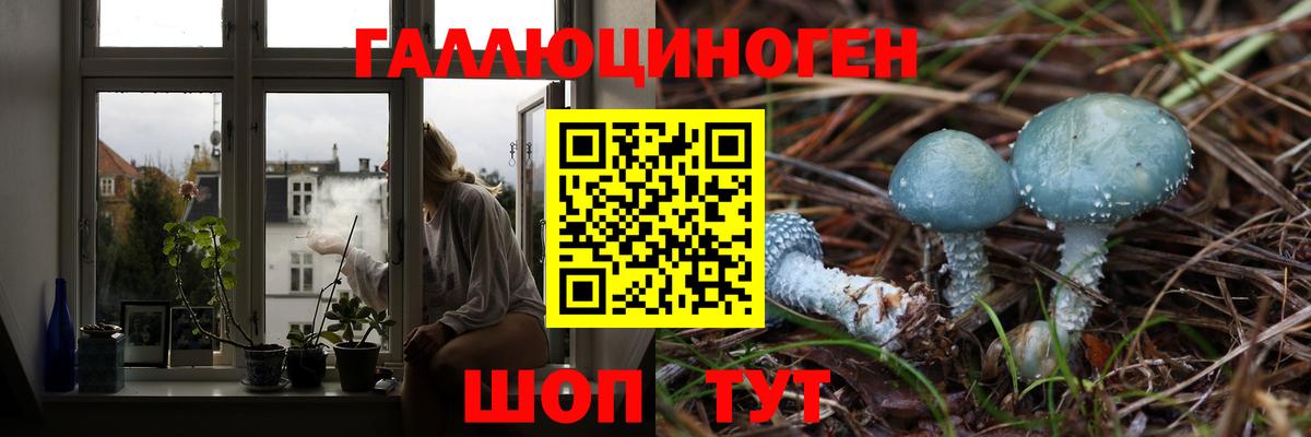 Псилоцибиновые грибы мухоморы Тара