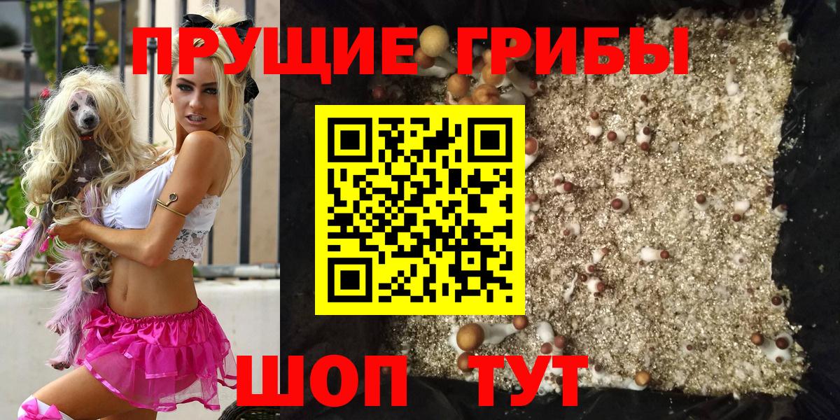 Псилоцибиновые грибы ЛСД  Вход с VPN  Тара  Галлюциногенные грибы ЛСД 